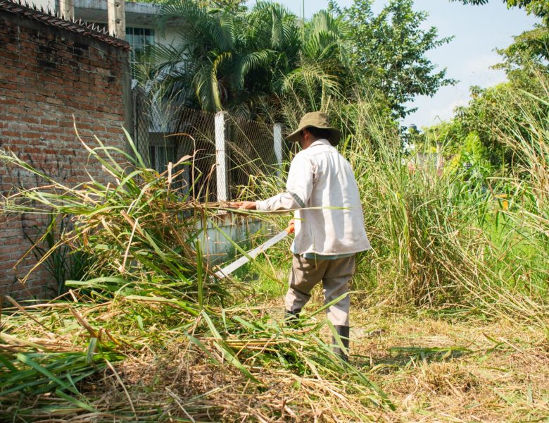 Dan limpieza a arroyos de Poza Rica