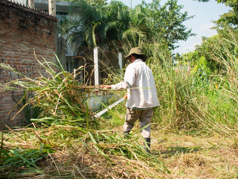 Dan limpieza a arroyos de Poza Rica