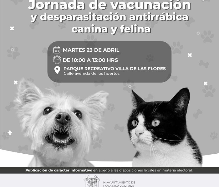 Alistan Jornada de Desparasitación y Vacunación Antirrábica de Mascotas en Poza Rica