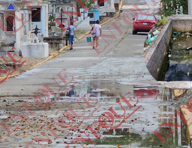 Reforzarán acciones contra el dengue en panteones de Poza Rica y Coatzintla