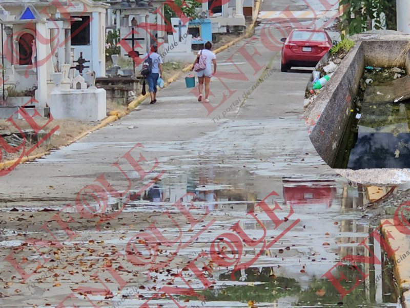 Reforzarán acciones contra el dengue en panteones de Poza Rica y Coatzintla