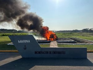 Incinera FGR 578 kilogramos de droga asegurada en Veracruz