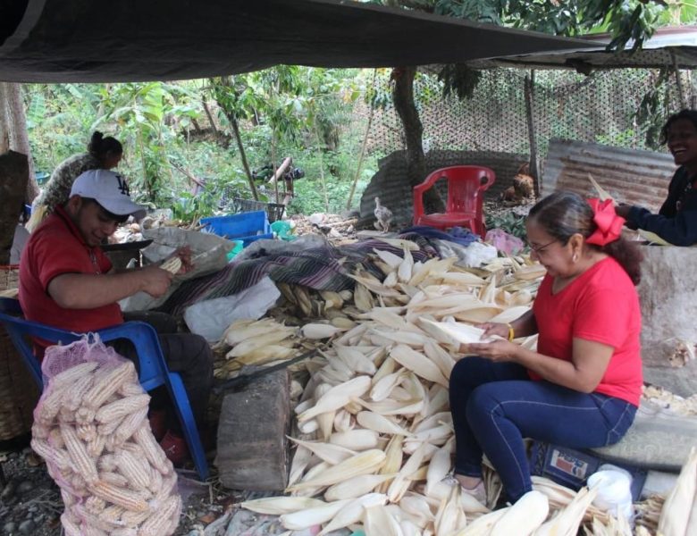 En coatzintla como en el país es tiempo de mujeres