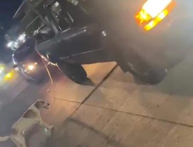 Indignación contra un hombre por arrastrar cruelmente a un perro