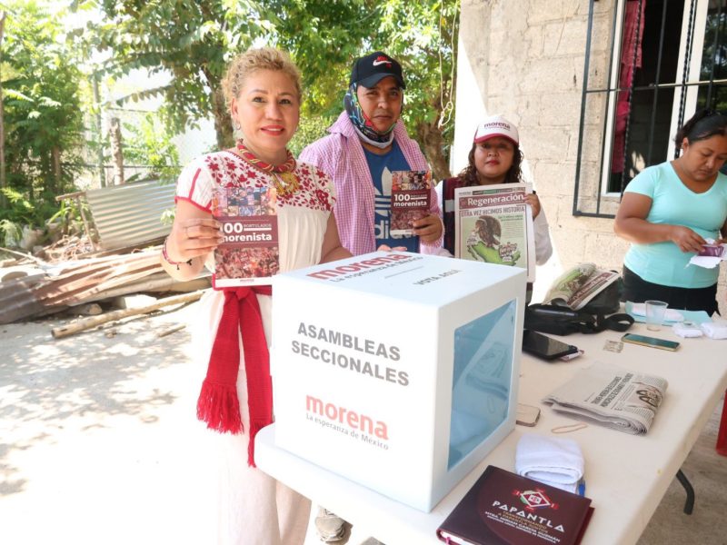 Se conforman los comités seccionales de Morena en Papantla