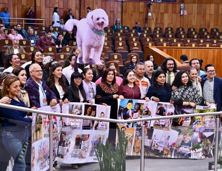 Congreso eleva a rango constitucional la protección a los animales