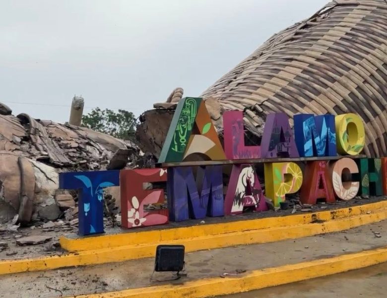 Colapsa el colotero, símbolo emblemático de Álamo, tras daños por inundación