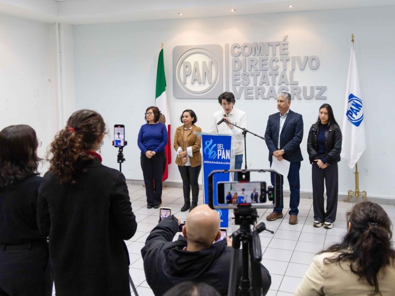 Reforma electoral de Morena: menos democracia, más control del poder