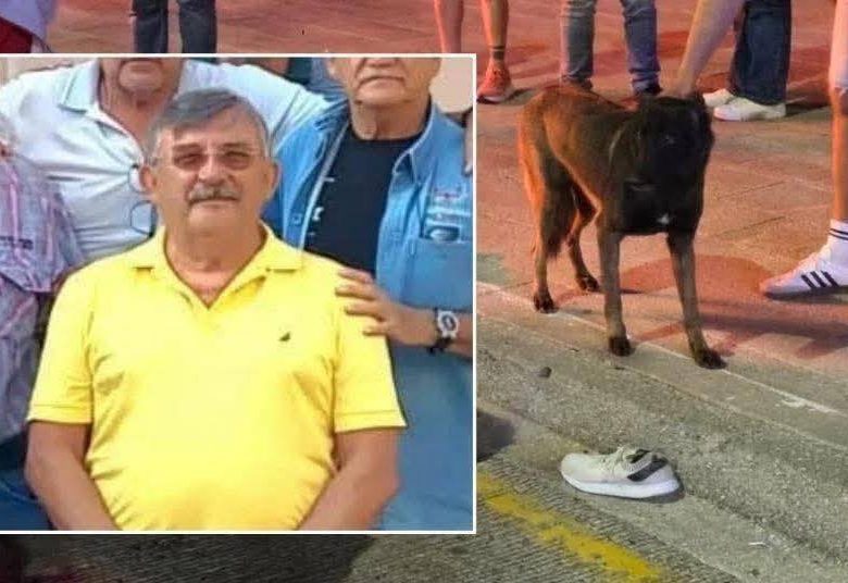 La espera final de un compañero fiel: Danilo murió en el asfalto y su perro permaneció a su lado