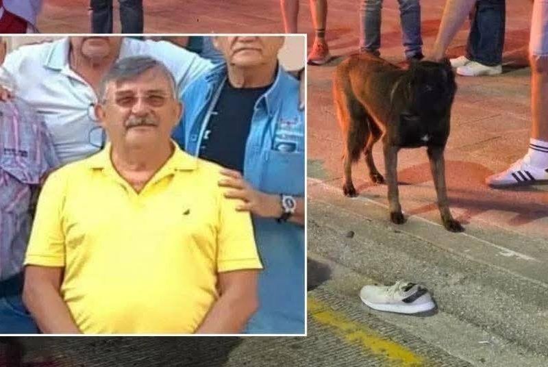 La espera final de un compañero fiel: Danilo murió en el asfalto y su perro permaneció a su lado