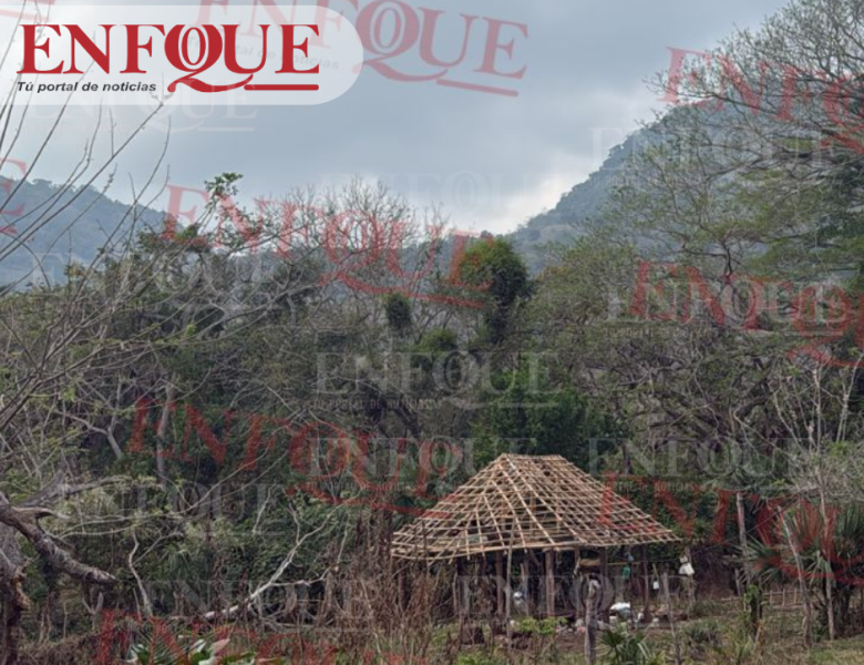 Macabro hallazgo en milpas de Cerro Azul: encuentran a hombre colgado de un árbol