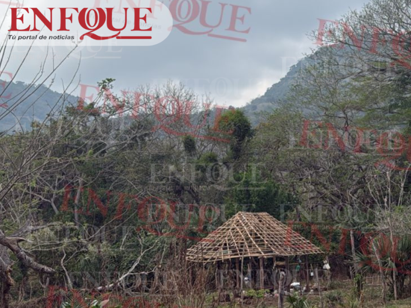 Macabro hallazgo en milpas de Cerro Azul: encuentran a hombre colgado de un árbol