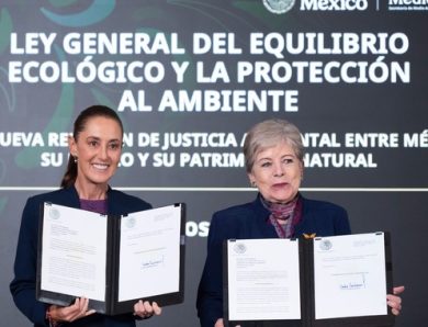 Sheinbaum envía iniciativa de ley a Cámara de Diputados